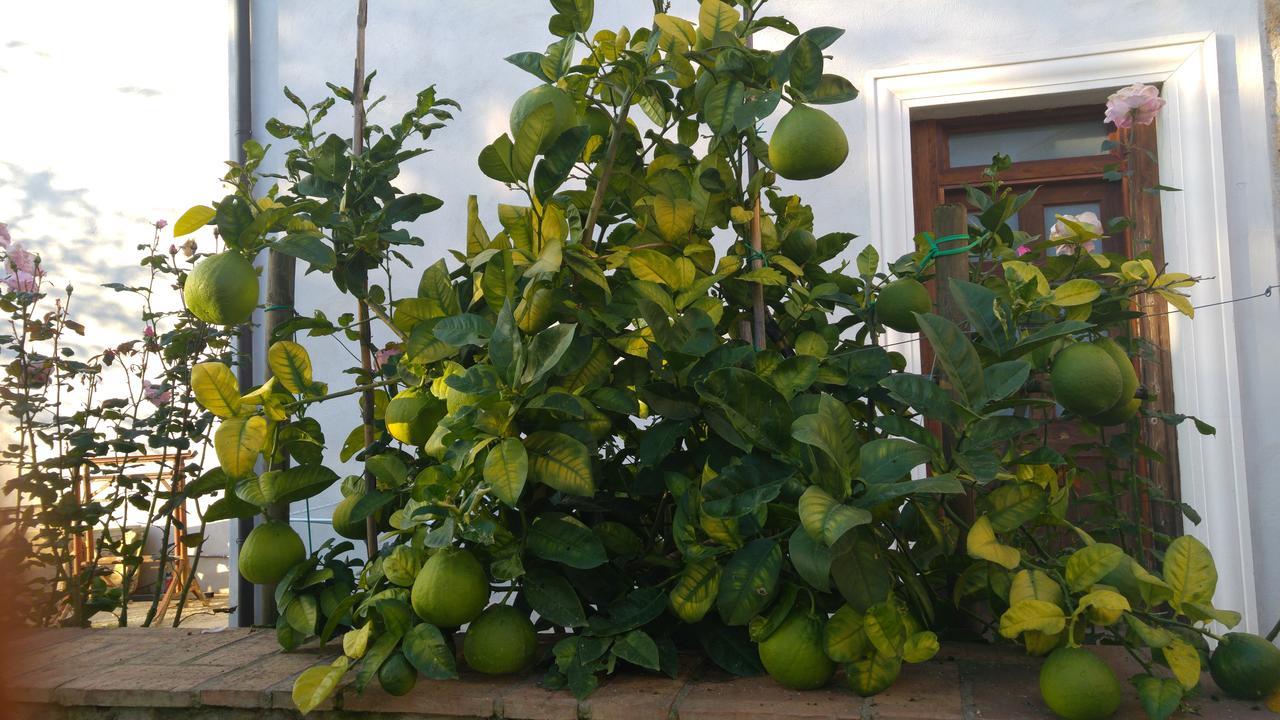 Hostal Borgo Patierno Conca della Campania Exterior foto